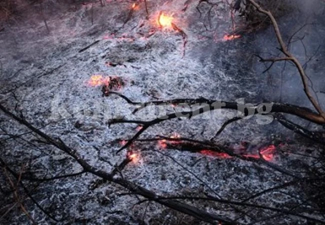 Бразилия отказа помощта на Г-7 за борба с пожарите в Амазония