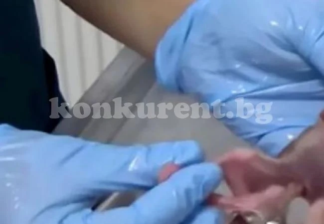 Откриха котенце мутант с осем крака и четири уши (СНИМКИ 18+)