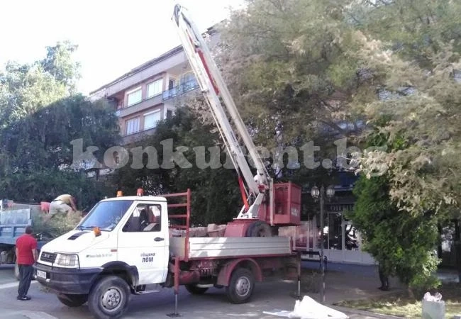 Пръскат дървета и зелени площи в Лом