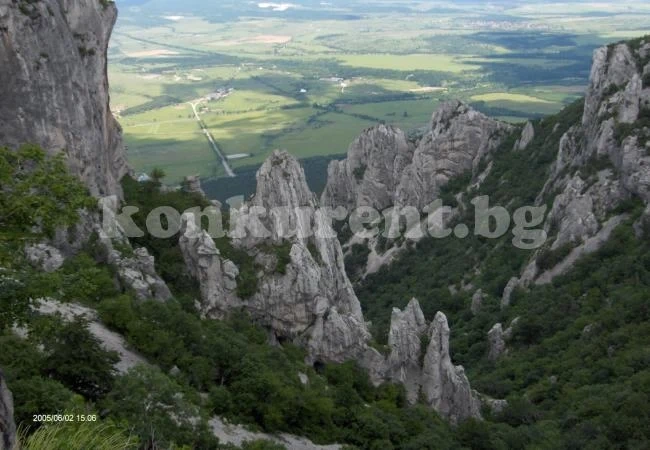 Канят на разходка във Врачанския Балкан