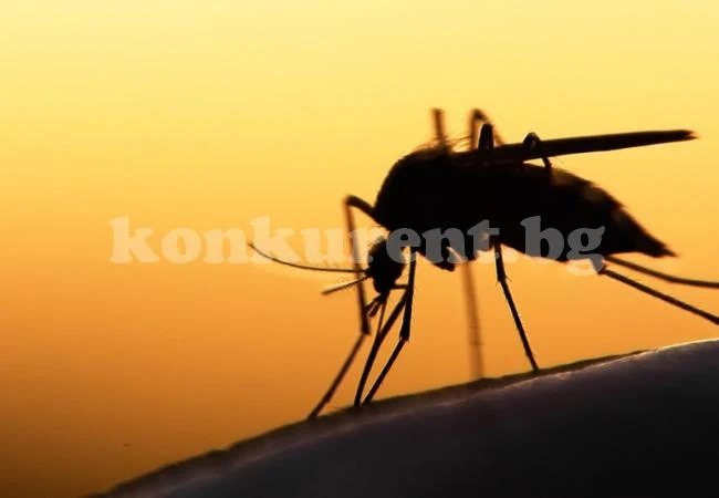 Специално облекло ни спасява от комарите