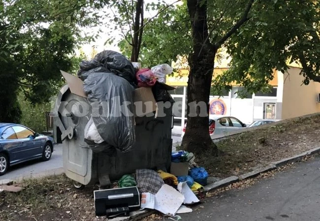 Боклуци приветстват посетителите на Комплекс Вестителят (СНИМКИ)