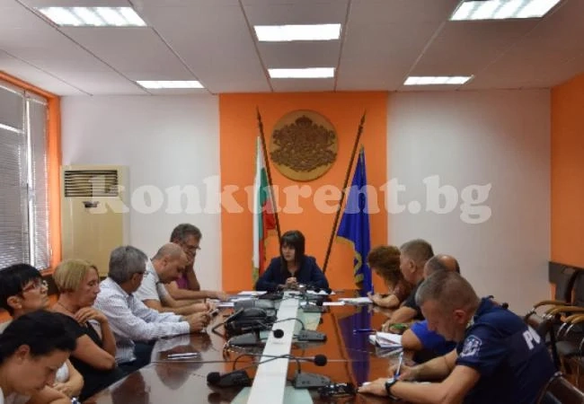 Потвърдиха пробата на африканска чума от диво прасе край село...