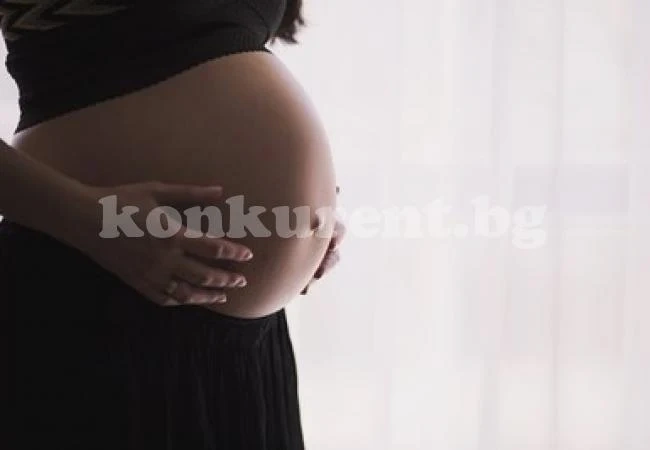 И Франция може да позволи инвитро за хомосексуални и самотни жени