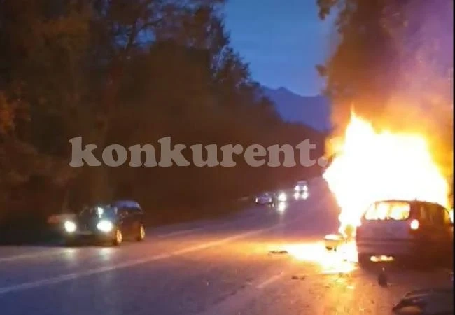 Шокиращи кадри от катастрофата с изгорял труп край Враца СНИМКИ+ВИДЕО