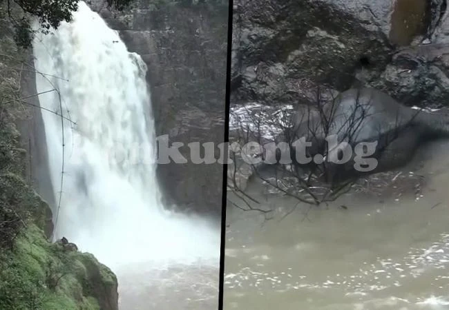 Пет слона загинаха в опит да спасят паднало във водопад слонче