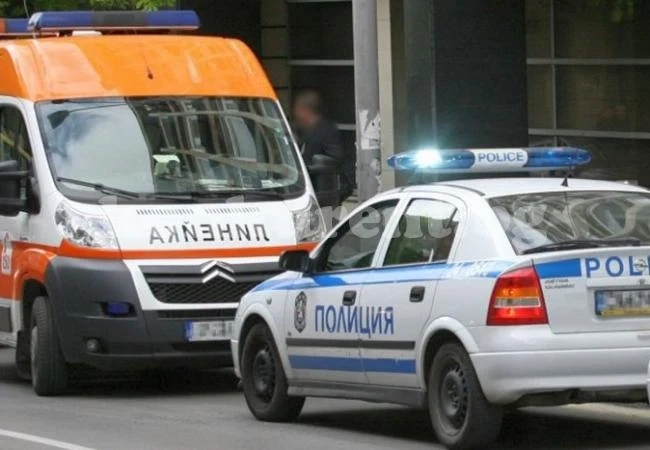 Младеж загина при удар с диво прасе на пътя