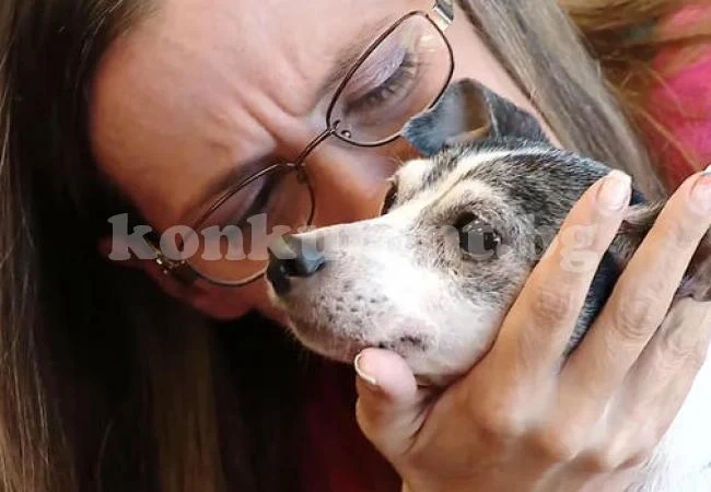 Изгубено куче се събра със стопанката си след 12 години