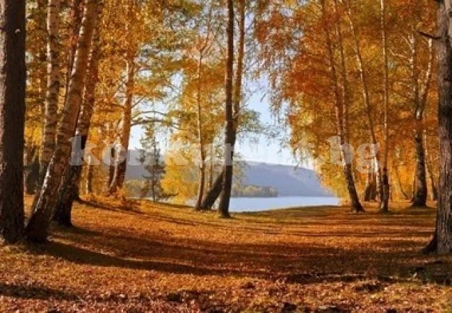 Днес ще е слънчево, до 26 градуса