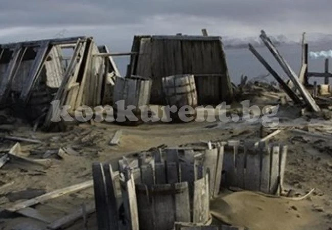 Откриха бъчва с кафе от 1902 г. в Арктика