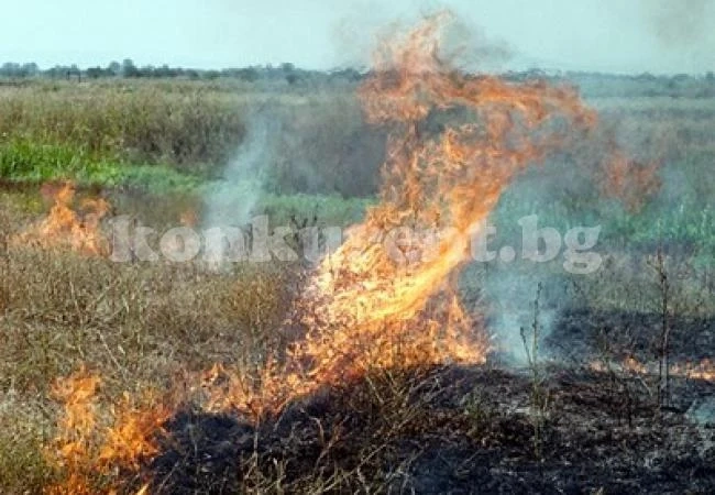 12 бона глоба за запалени стърнища
