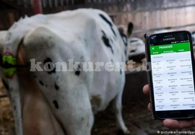 Кравата праща SMS, че ражда