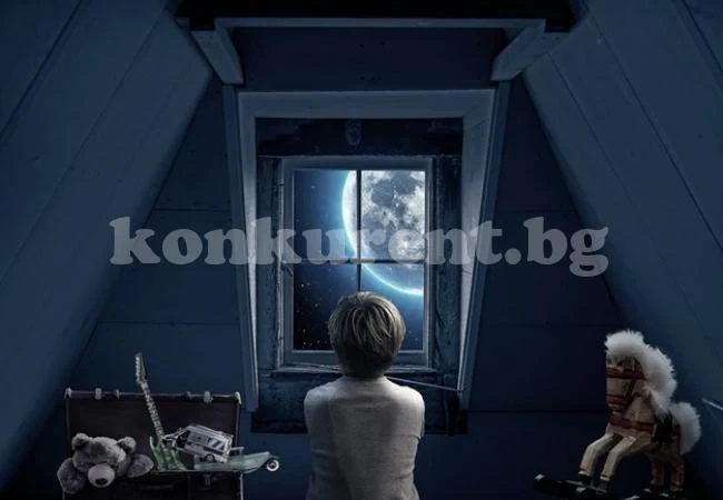 Как да научим детето да бъде организирано