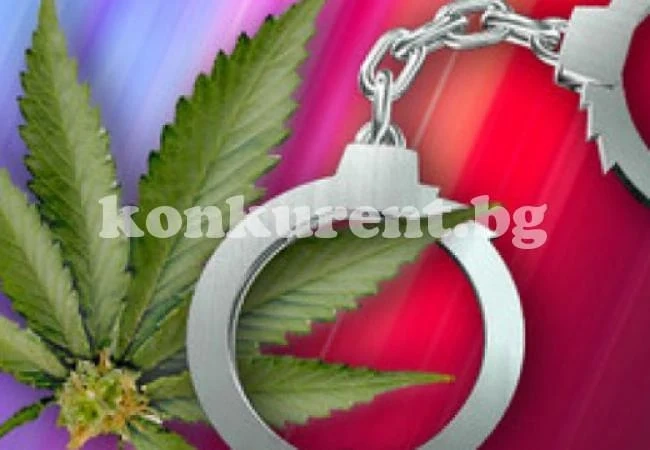 Обискираха тийнейджъри и намериха канабис