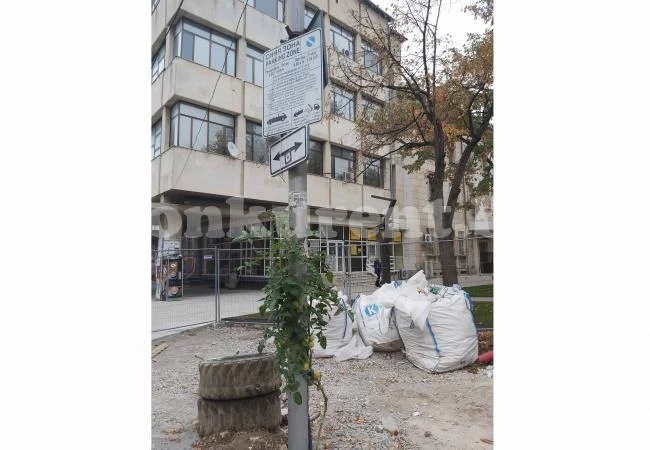 Синята зона роди... домати СНИМКИ