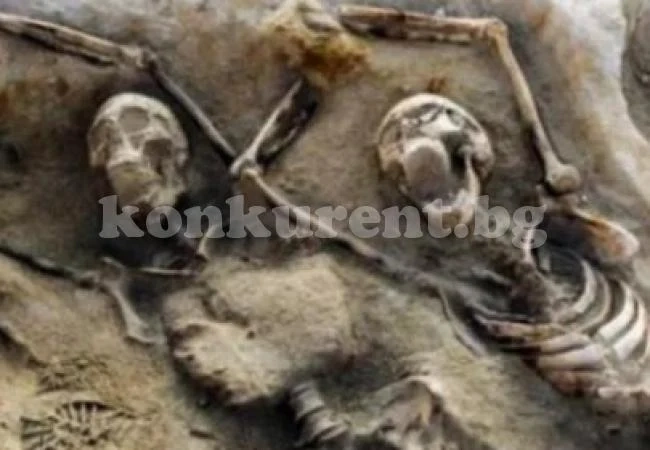 Мъж откри 60 трупа, заровени в двора му, трябвало да ги изкопае сам