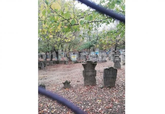 Овце и кози торят стари гробища, затворени с ограда