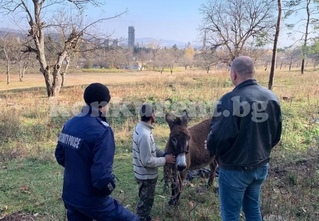 Инспекторатът и полицията с акция на улица „Доспат“