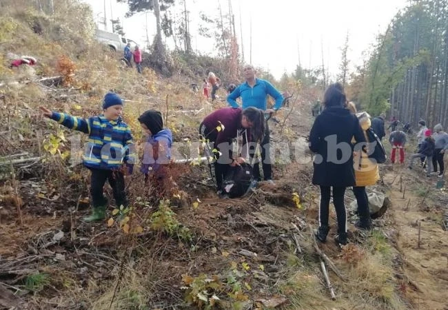Доброволци засадиха 1 200 фиданки в землището на Драговищица