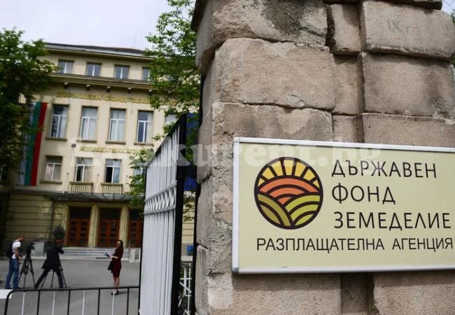 Едва 23 от 253 къщи за гости са изрядни