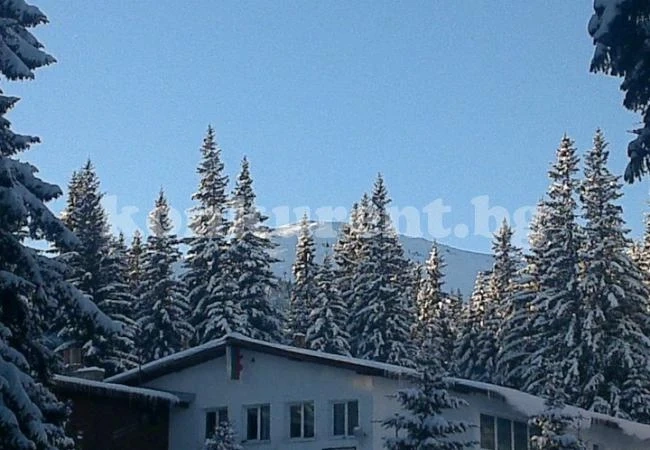 Вършец, Белоградчик и хижите под Ком пълни за Нова година