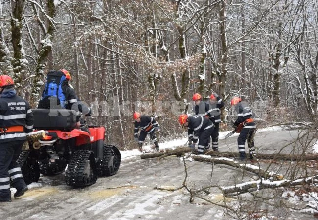 118 доброволци защитават хората в Монтанско