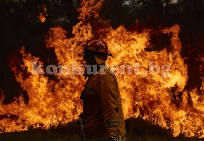 Енергийна компания във фалит плаща 13,5 милиарда долара заради пожарите в Калифорния