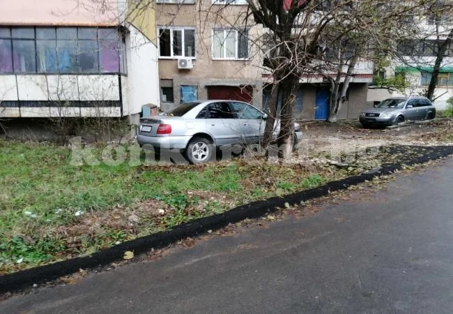 Трошки гният във Враца, няма кой да ги вдигне СНИМКИ