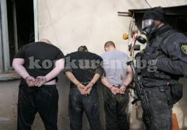Заковаха банда от крадци във видинско