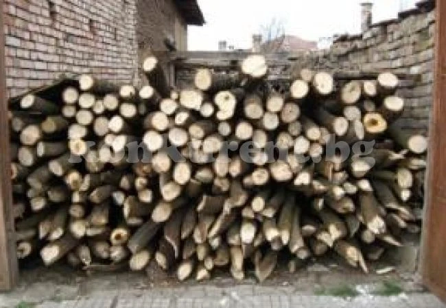 Съставиха актове за незаконни дърва