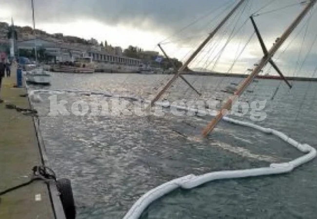 Черна Коледа за български баровец в Кавала СНИМКИ