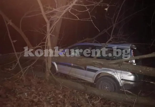 Пиян заби колата си в гората СНИМКИ