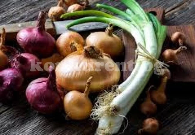 Лекар разкри какво са яли хората, победили рак в последна фаза