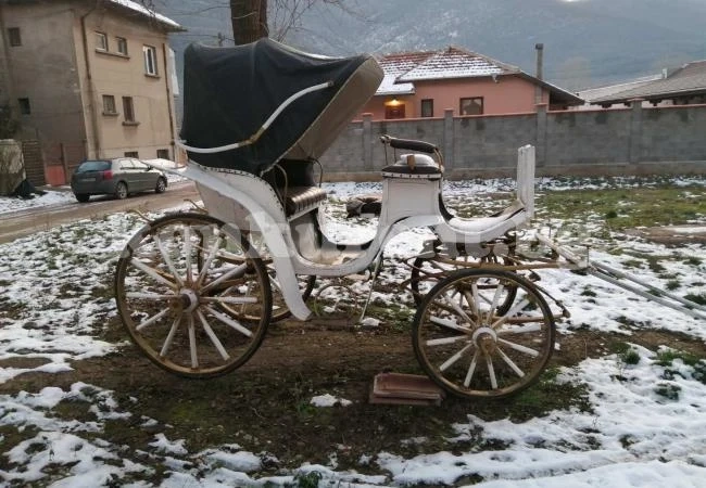 Вижте какъв файтон радва очите на врачани СНИМКИ