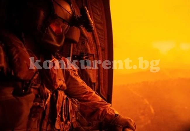 Властите в Австралия дават 1,4 млрд. долара за възстановяване след пожарите