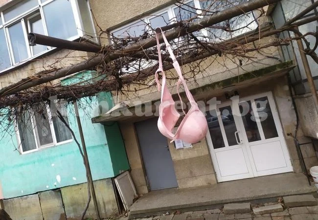 Мрежата прегря! Розов сутиен „цъфна“ на асма пред блок в Монтана СНИМКИ