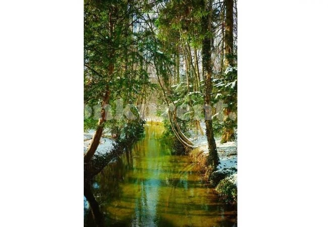 Слънце и в планините, и на морето утре