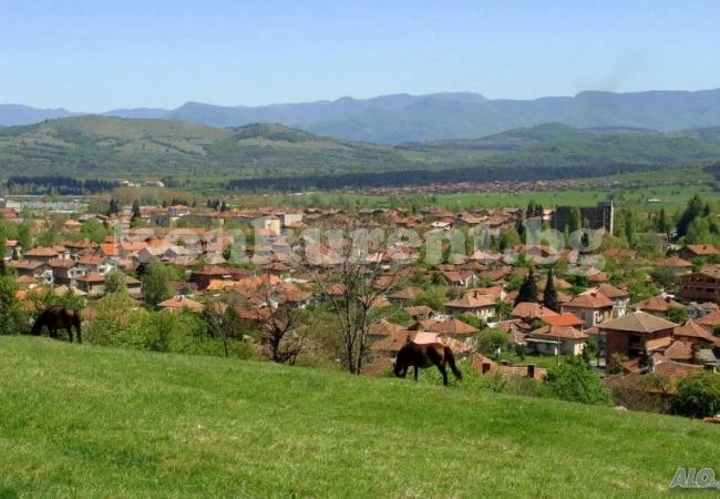 Продават изгодно имоти в Берковица