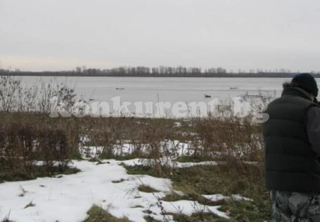Преброиха водолюбивите птици в района на Лом