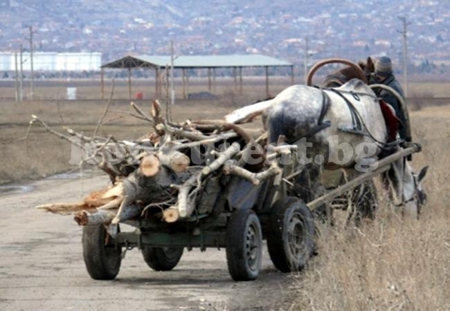 Спипаха тийнейджър, размахал брадва в гората