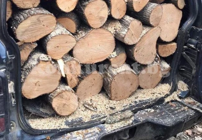 Мъж натъпка „Субару“-то си с крадени дърва