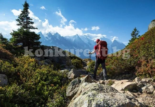 Над 9,3 млн. са чуждестранните туристически посещения през 2019 година
