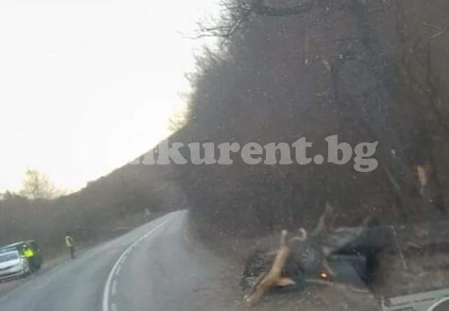 Шофьор навири гумите на Е79, гледката плаши другите водачи