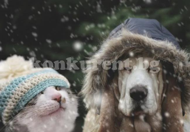 Зимна приказка ни очаква днес