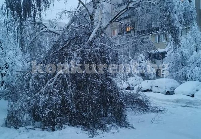 Голяма авария на далекопровод остави центъра на Враца без ток