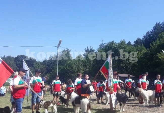 Фестивали, събори и изложения в културния календар на община Вършец
