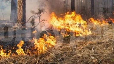 Реагираха на 4 сигнала за пожари
