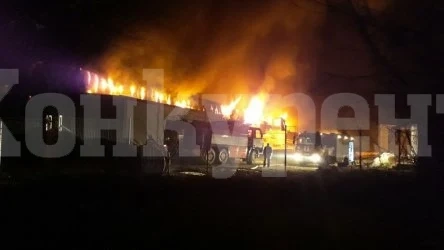 Огнено отмъщение! Драснаха клечката на магазин във Видин