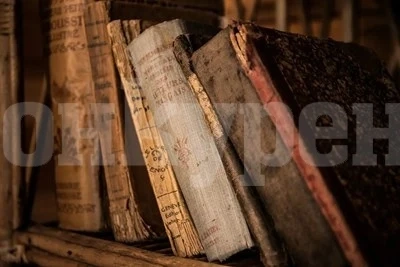 Изследване: Четенето на класически романи ни прави по-умни