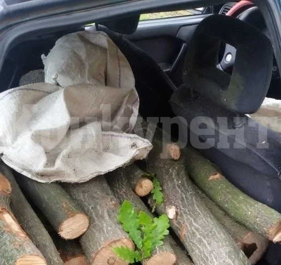 Ченгета спряха нередовен шофьор, наблъскал незаконни дърва в БМВ